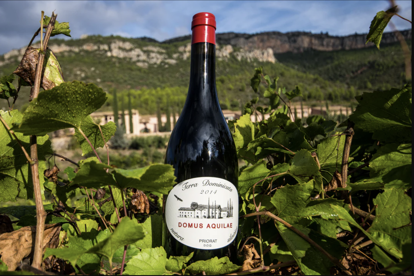 Domus Aquilae 2019 (750ml)